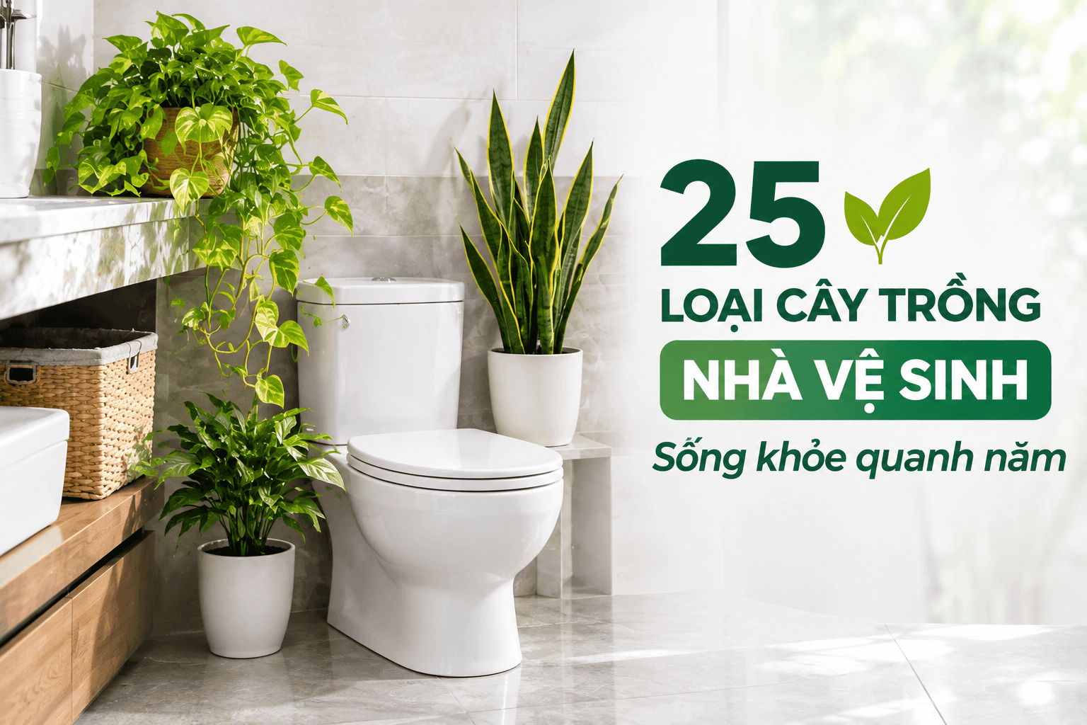 Cây Tổ Chim