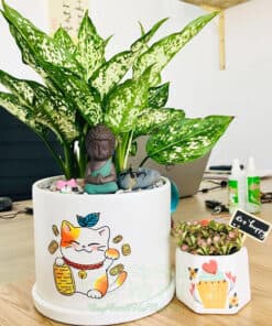 Cây Ngọc Ngân