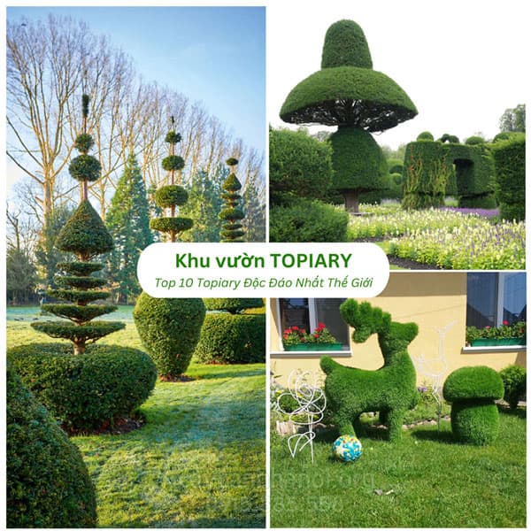Cây Tổ Chim
