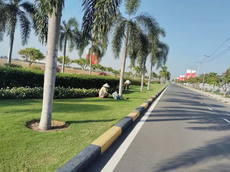 Quy Trình Bảo Dưỡng Cảnh Quan 2026: Chuyên Nghiệp & Tối Ưu Chi Phí