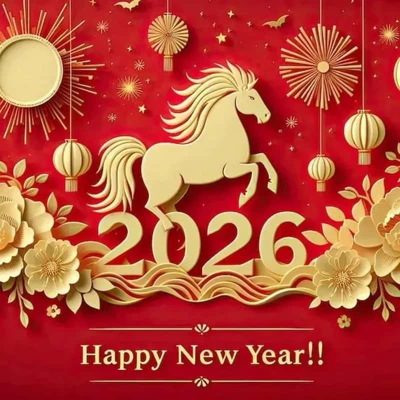 Top 10 loài cây cảnh phong thủy 'Hút Tài Lộc' & Hóa Giải Vận Hạn năm 2026 (Bính Ngọ)